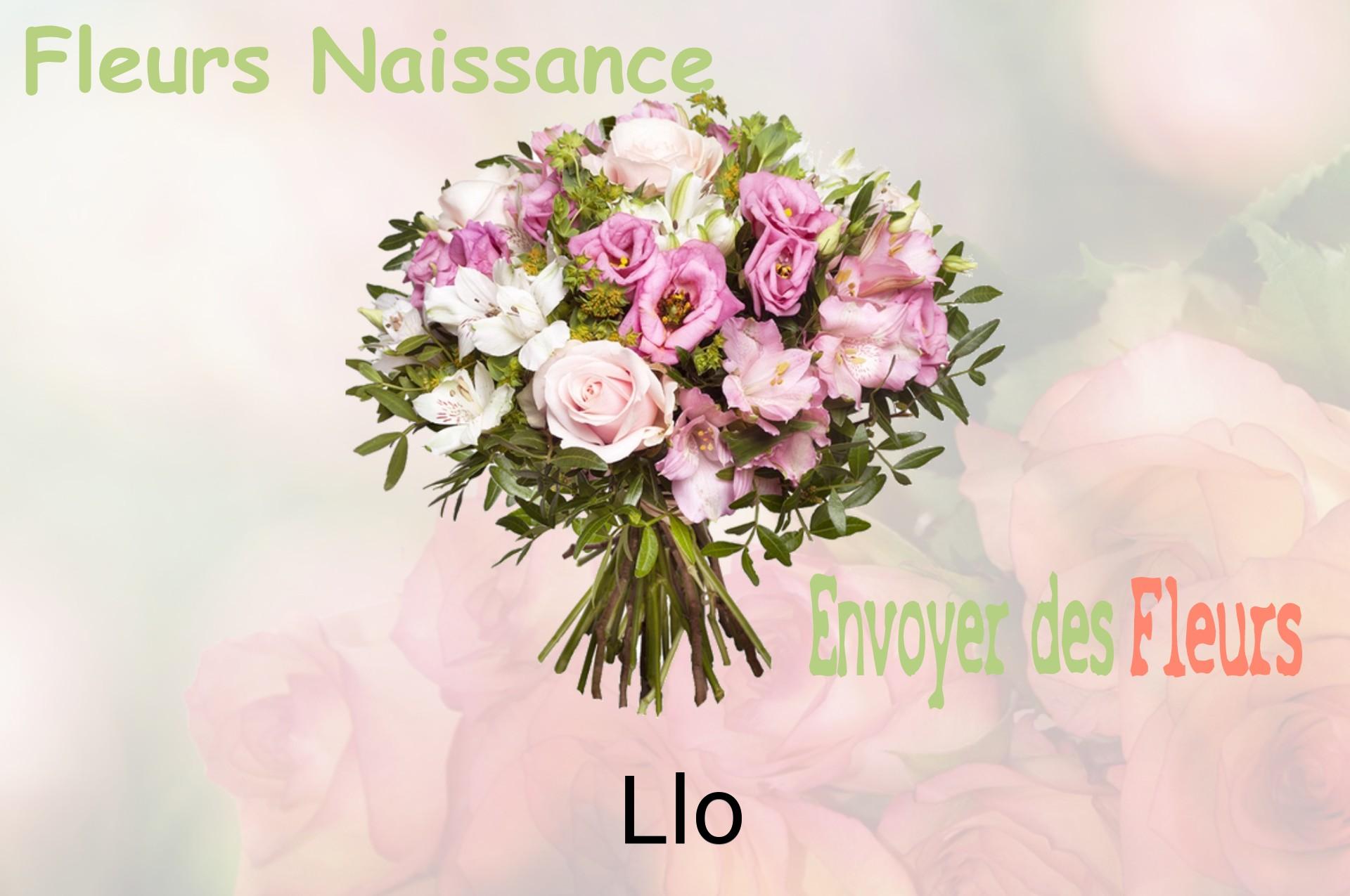 Bouquet de fleurs de naissance livré à Llo